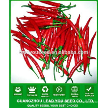 NP271 Guoren китайский гибрид острого перца семена производитель